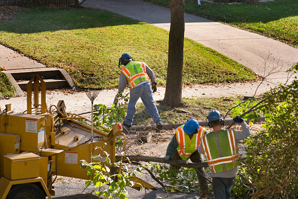 Best Lawn Mowing Services  in Turlock, CA